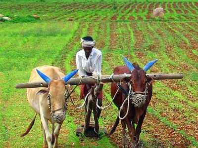 महाडीबीटी पोर्टल योजनेचा लाभ शेतकऱ्यांनी घ्यावा : उपविभागीय कृषि अधिकारी दिलीप देवरे